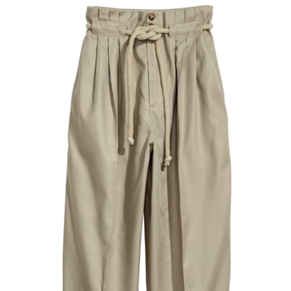 H&M pleated wide leg pants